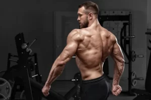 back-muscles-man-in-content.jpg